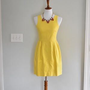 Popular J Crew Fit to Flare Cotton Dress